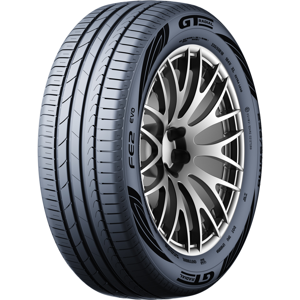 FE2 EVO 100V