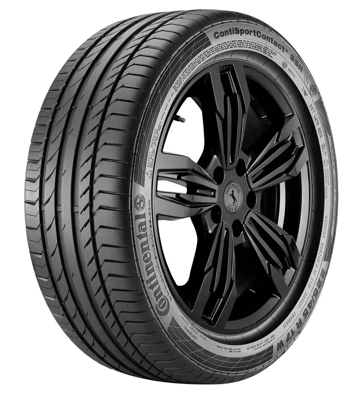 CSC 5 103W