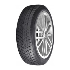 WinterSafe X293H FR