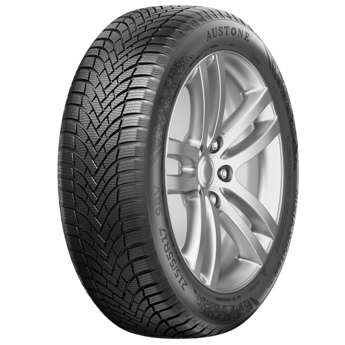Nixia Winter Pro 110V