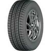 MAS WINTER 75 113R