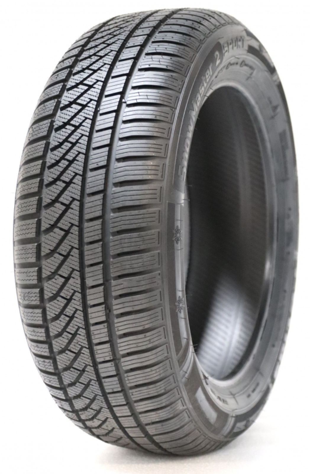 POLARMAXX SPORT 100H